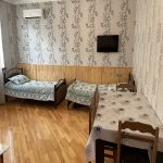 Kirayə (günlük) 3 otaqlı Həyət evi/villa Qəbələ 9