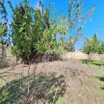 Satılır Torpaq, Novxanı, Abşeron rayonu 15