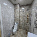 Kirayə (aylıq) 2 otaqlı Yeni Tikili, Nəriman Nərimanov metrosu, Nərimanov rayonu 14