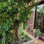 Kirayə (aylıq) 6 otaqlı Bağ evi, Novxanı, Abşeron rayonu 3
