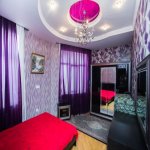 Kirayə (günlük) 3 otaqlı Yeni Tikili, 28 May metrosu, Zabitlər parkı, Nəsimi rayonu 8