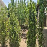 Satılır Torpaq, Mərdəkan, Xəzər rayonu 2