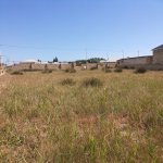 Satılır Torpaq Sumqayıt 1