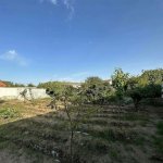Satılır Torpaq, Mərdəkan, Xəzər rayonu 6
