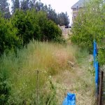 Satılır Torpaq, Mərdəkan, Xəzər rayonu 3