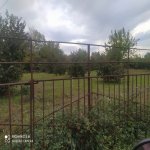 Satılır Torpaq Zaqatala 5