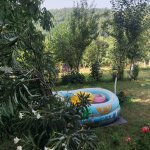 Kirayə (günlük) 4 otaqlı Həyət evi/villa Qəbələ 14