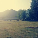 Satılır Torpaq Qəbələ 9