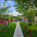 Kirayə (günlük) 5 otaqlı Həyət evi/villa Qəbələ 7