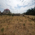 Satılır Torpaq, Novxanı, Abşeron rayonu 5