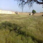 Satılır Torpaq, Masazır, Abşeron rayonu 5