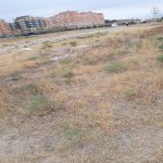 Satılır Torpaq, Masazır, Abşeron rayonu 2