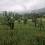 Satılır 4 otaqlı Həyət evi/villa İsmayıllı 12