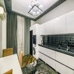 Kirayə (günlük) 4 otaqlı Yeni Tikili, 28 May metrosu, 28 Mall, Nəsimi rayonu 18