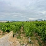 Продажа Объект Шабран 21