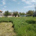 Satılır Torpaq Qəbələ 5