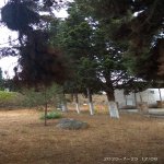 Satılır 2 otaqlı Bağ evi, Mərdəkan, Xəzər rayonu 39
