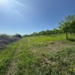 Продажа Участок Исмаиллы 4