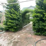 Kirayə (aylıq) 3 otaqlı Bağ evi, Pirşağı qəs., Sabunçu rayonu 23