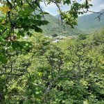 Satılır Torpaq Qax 3