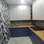 Kirayə (aylıq) 2 otaqlı Yeni Tikili, Gənclik metrosu, Nəsimi rayonu 8