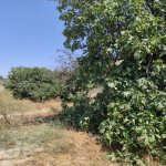 Satılır Torpaq, Koroğlu metrosu, Maştağa qəs., Sabunçu rayonu 2