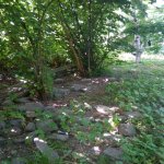 Satılır Torpaq Qəbələ 3