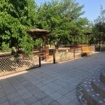 Satılır 5 otaqlı Bağ evi, Novxanı, Abşeron rayonu 16