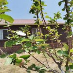 Satılır 3 otaqlı Həyət evi/villa, Şüvəlan, Xəzər rayonu 2