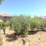 Satılır 9 otaqlı Həyət evi/villa, Bilgəh qəs., Sabunçu rayonu 29