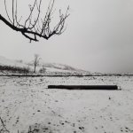 Satılır Torpaq Qobustan 3