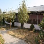 Kirayə (günlük) 3 otaqlı Həyət evi/villa Qəbələ 13