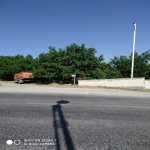 Satılır Torpaq Şamaxı 1