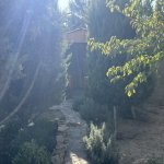 Kirayə (aylıq) 5 otaqlı Bağ evi, Novxanı, Abşeron rayonu 1