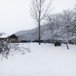 Kirayə (günlük) 3 otaqlı Həyət evi/villa Qəbələ 21