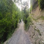 Satılır 3 otaqlı Həyət evi/villa İsmayıllı 11