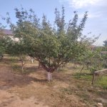 Продажа 4 комнатная Дача, Сарай, озеро Джейранбатан, Абшерон район 17