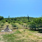Kirayə (günlük) 3 otaqlı Bağ evi Quba 13