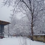 Kirayə (günlük) 4 otaqlı Həyət evi/villa Şəki 32