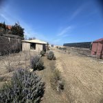 Satılır Torpaq, Goradil, Abşeron rayonu 3