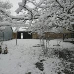 Satılır 5 otaqlı Həyət evi/villa Qəbələ 4