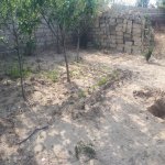 Kirayə (aylıq) 1 otaqlı Bağ evi, Pirşağı qəs., Sabunçu rayonu 15
