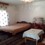 Kirayə (günlük) 2 otaqlı Bağ evi Lerik 2