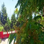 Kirayə (günlük) Mini otel / Xostel Xaçmaz / Nabran 11
