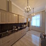 Kirayə (aylıq) 3 otaqlı Yeni Tikili, 28 May metrosu, Nəsimi rayonu 10