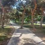 Kirayə (aylıq) 3 otaqlı Köhnə Tikili, Memar Əcəmi metrosu, 9-cu mikrorayon, Binəqədi rayonu 22