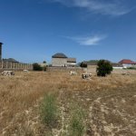 Satılır Torpaq, Buzovna, Xəzər rayonu 3