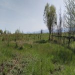 Продажа Участок Хачмаз 20