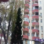 Продажа 3 комнат Новостройка, Nizami метро, Ясамал район 1