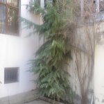 Kirayə (aylıq) 6 otaqlı Həyət evi/villa, Memar Əcəmi metrosu, 9-cu mikrorayon, Binəqədi rayonu 3